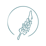 Logo Ernährungsberatung Lachermund, Lupine ohne Text